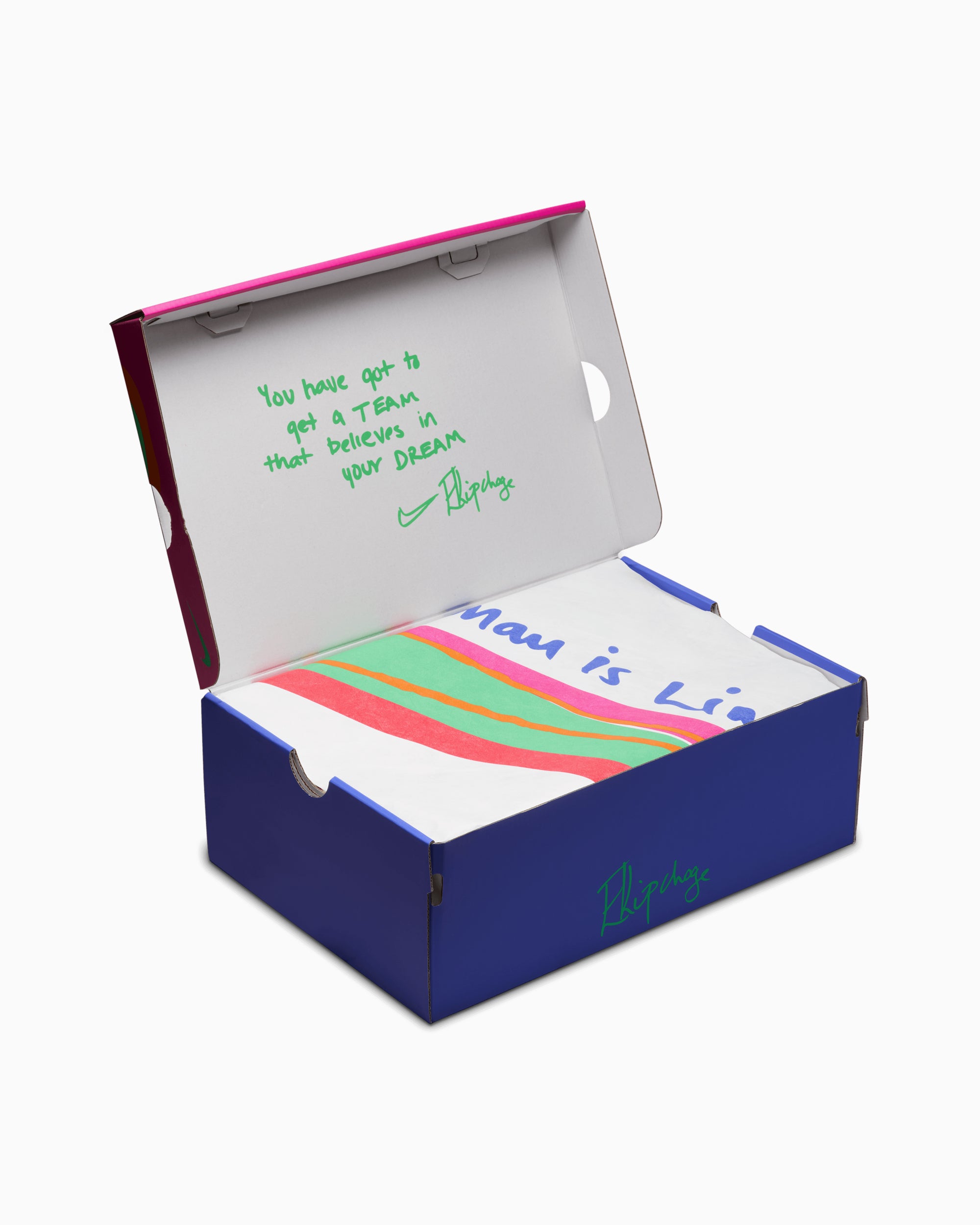 Sneakers Nike Women's Vaporfly NEXT% 4 Eliud Kipchoge - IM6366-605