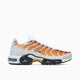 Nike x One Block Down Air Max Plus SP