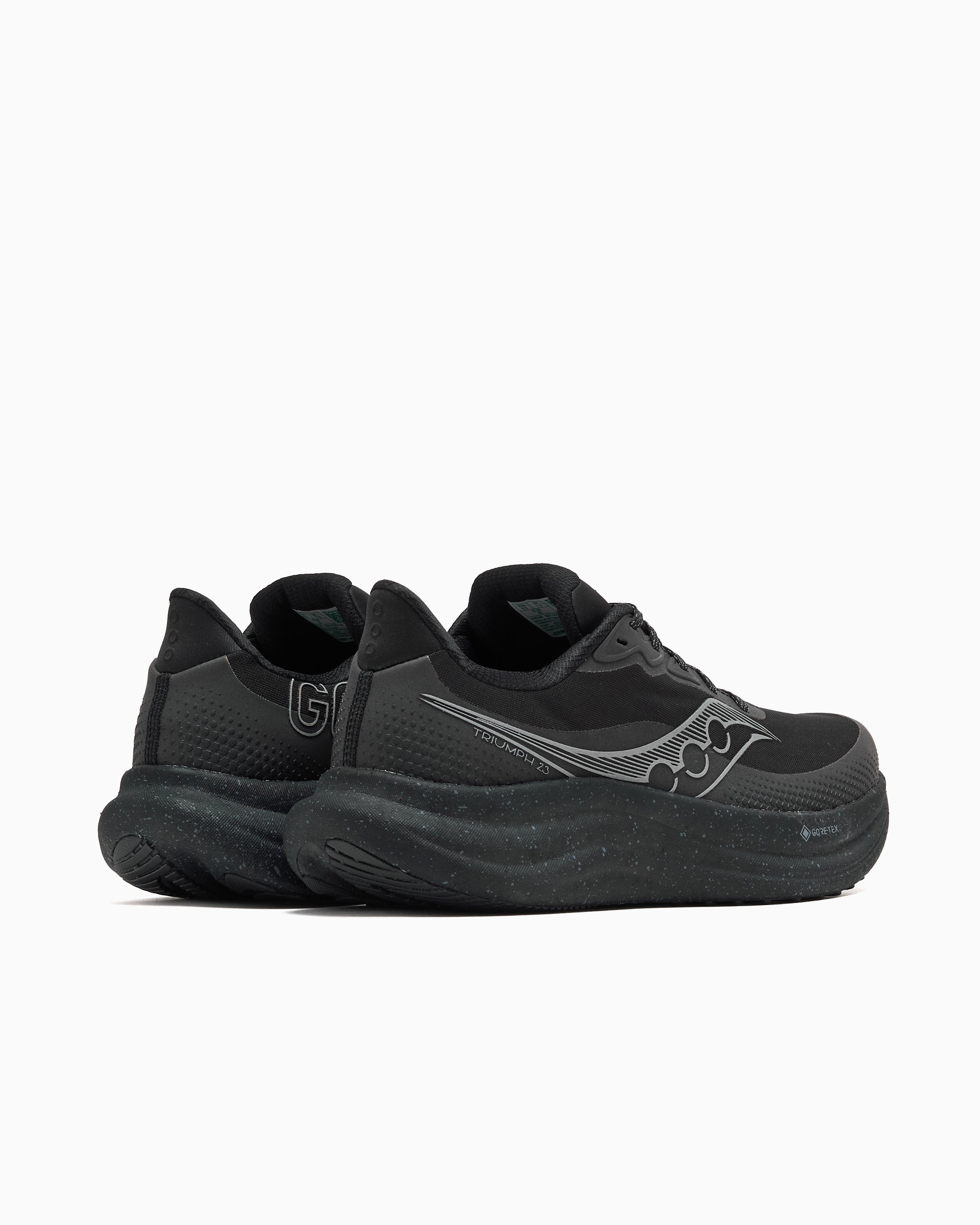 Sneakers Saucony Triumph 23 Gore-Tex® - S21025-14