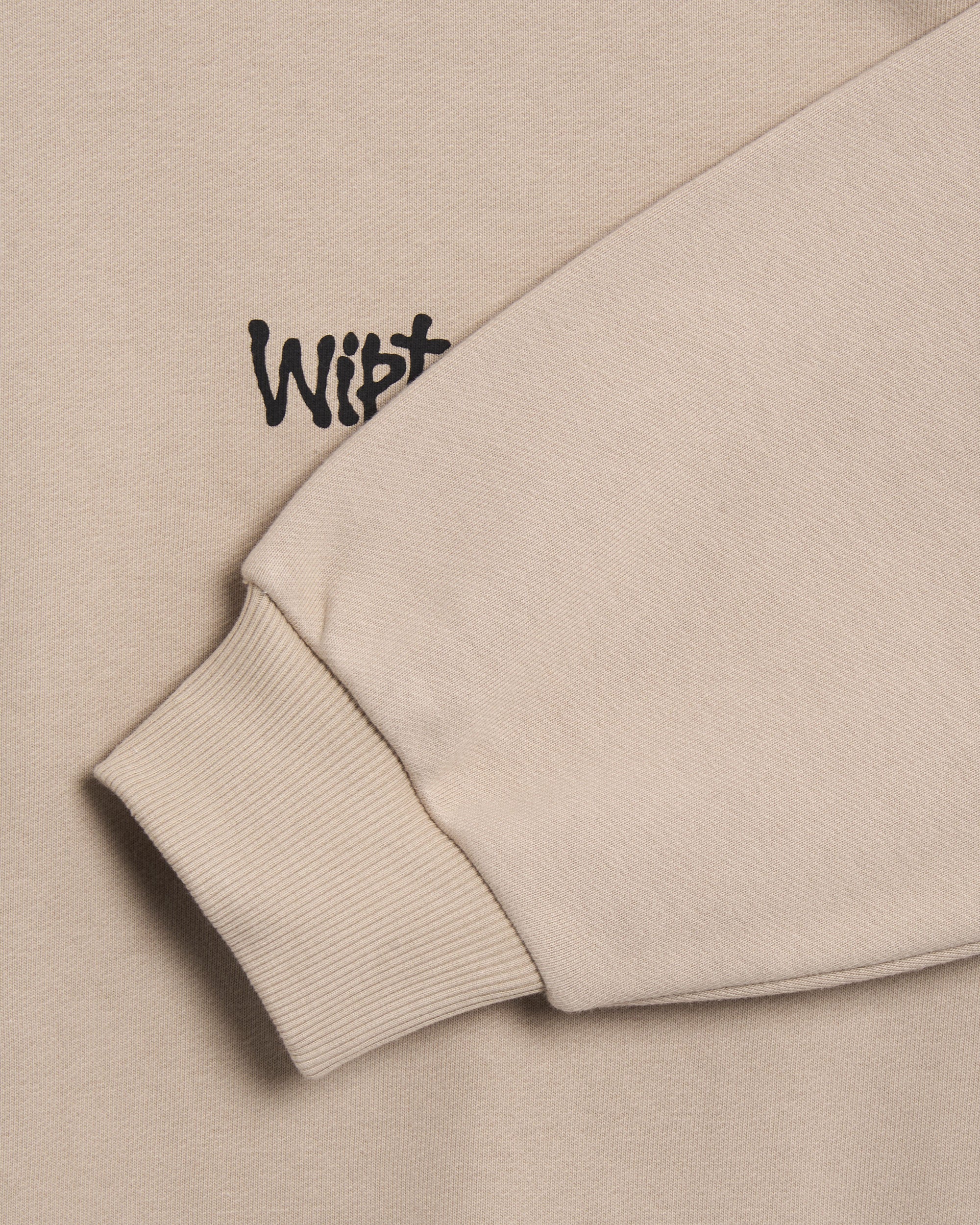 Sweatshirts Carhartt WIP Wiptopia Graphic Women's Sweatshirt - I035644-G1XX