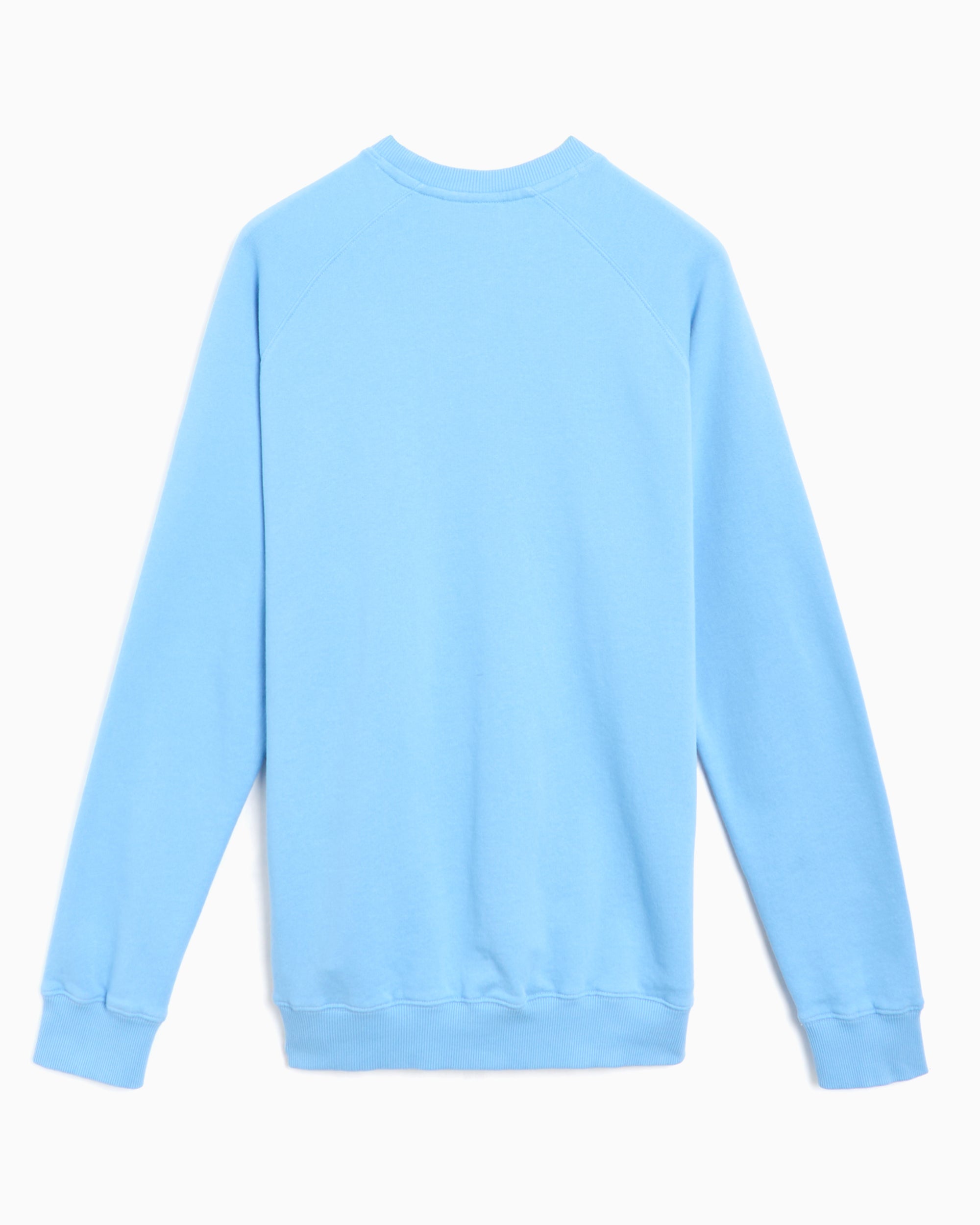 Sweatshirts Forét Spruce Men's Sweatshirt Men's Sweatshirt - F009-LIGHTBLUE