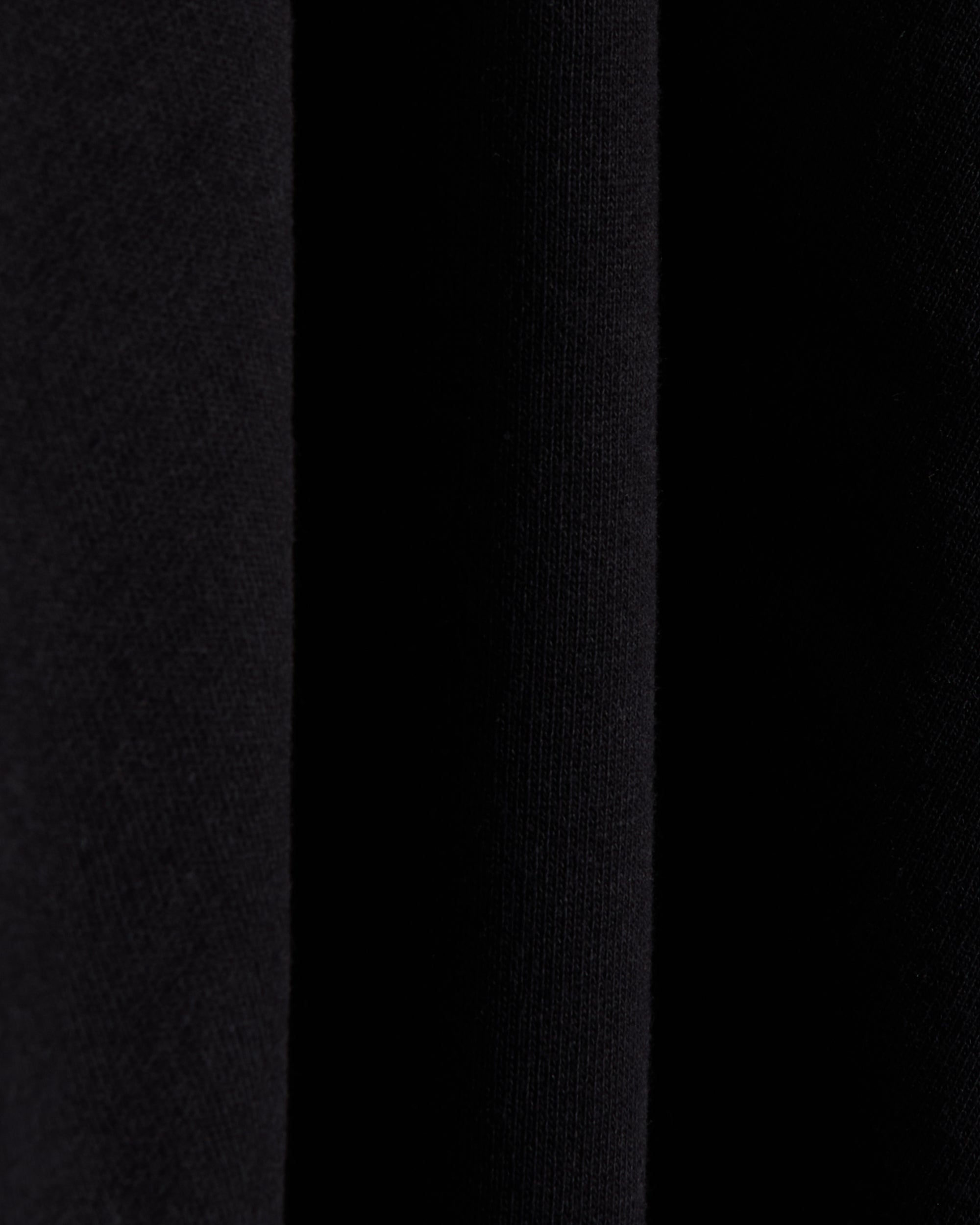 Sweatshirts Pleasures Andrea Men's Hoodie Men's Hoodie - P24IU005-BLACK