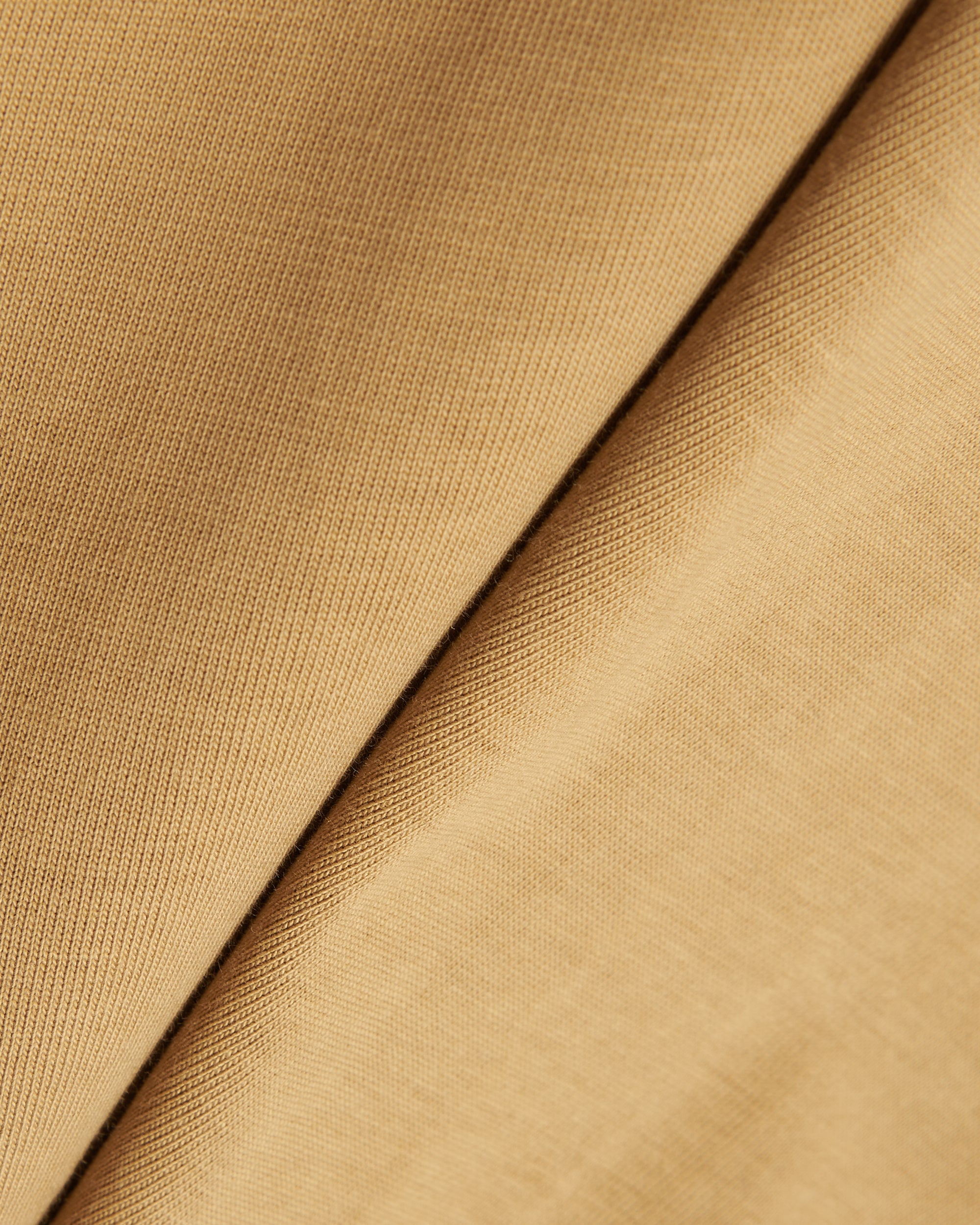 T-Shirts Pleasures Expand Men's Heavyweight T-Shirt Men's T-Shirt - P23F032-BROWN