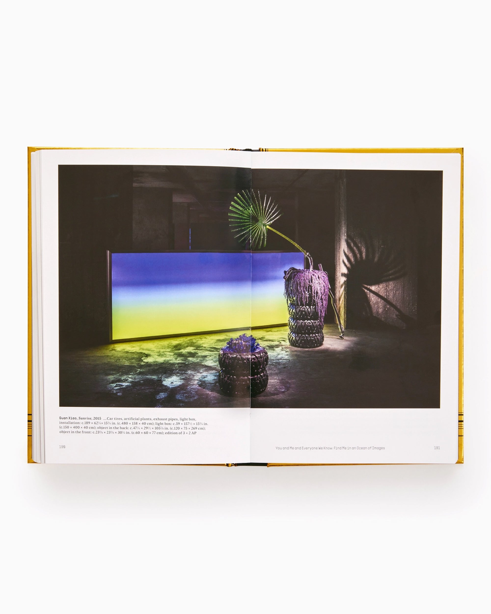 Books Magazines Phaidon Internet_Art: From the Birth of the Web to the Rise of NFTs By Dr. Omar Kholeif - 9781838664077
