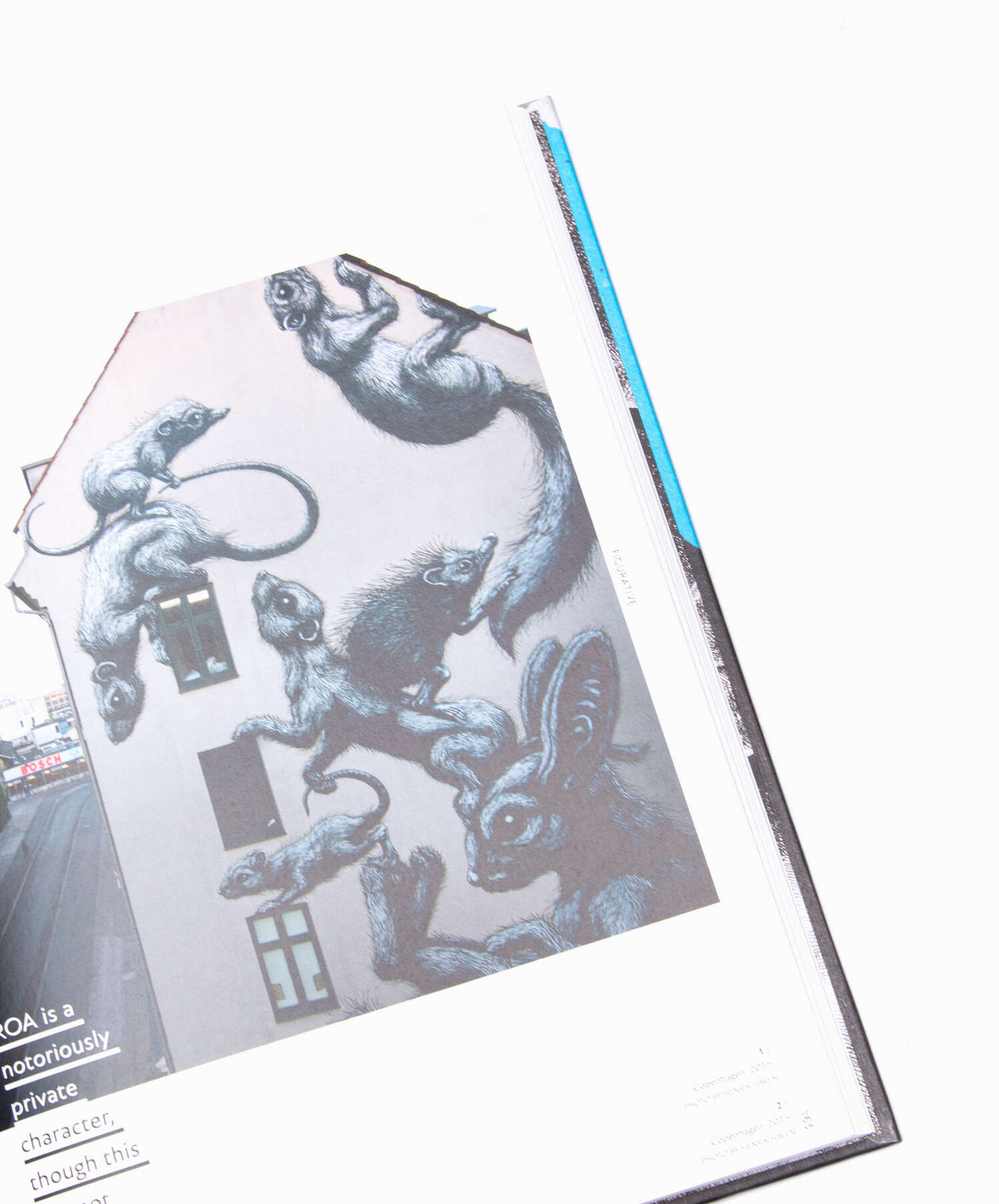 Books Magazines Rizzoli Street Art Today: The 50 Most Influential Street Artists Today  Book - 9789401426978