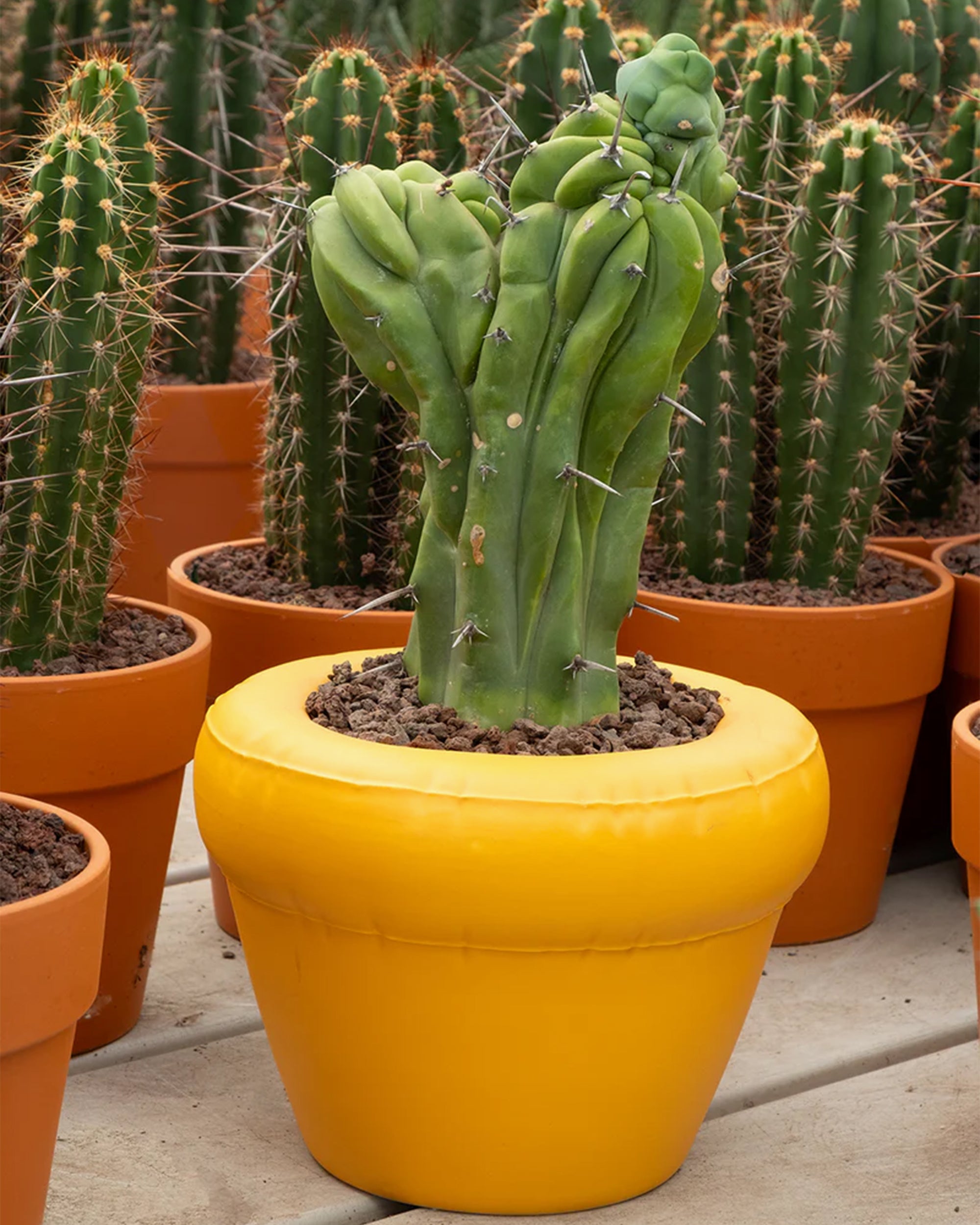 Decoration Home Studyo "Pierre" Planter Pot - HSBUP-IN