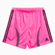 Shorts adidas Performance Teamgeist Adicolor per uomo