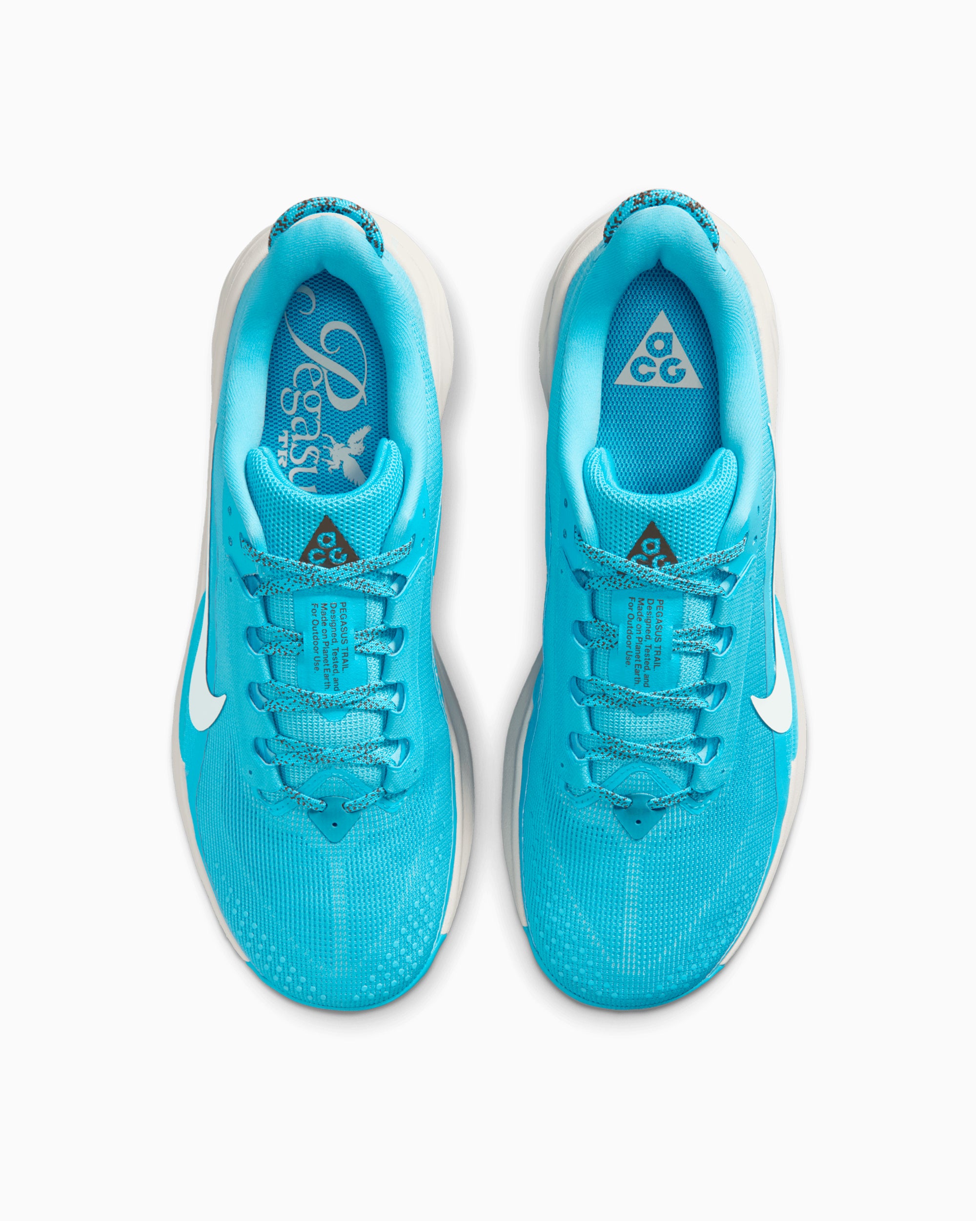 Sneakers Nike ACG Pegasus Trail - HV8116-400