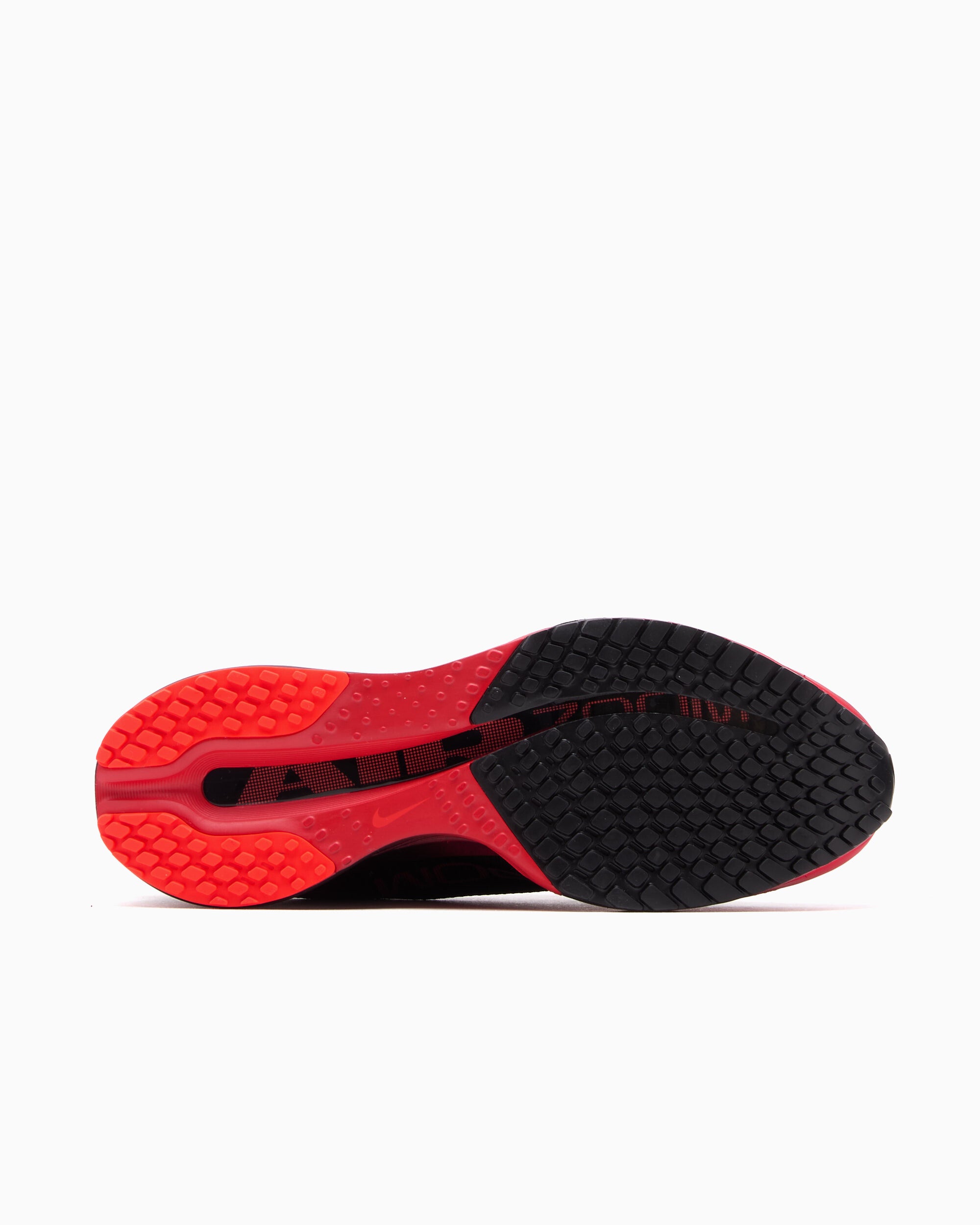 Sneakers Nike Pegasus Premium "Antracite Bright Crimson" - HQ2592-019