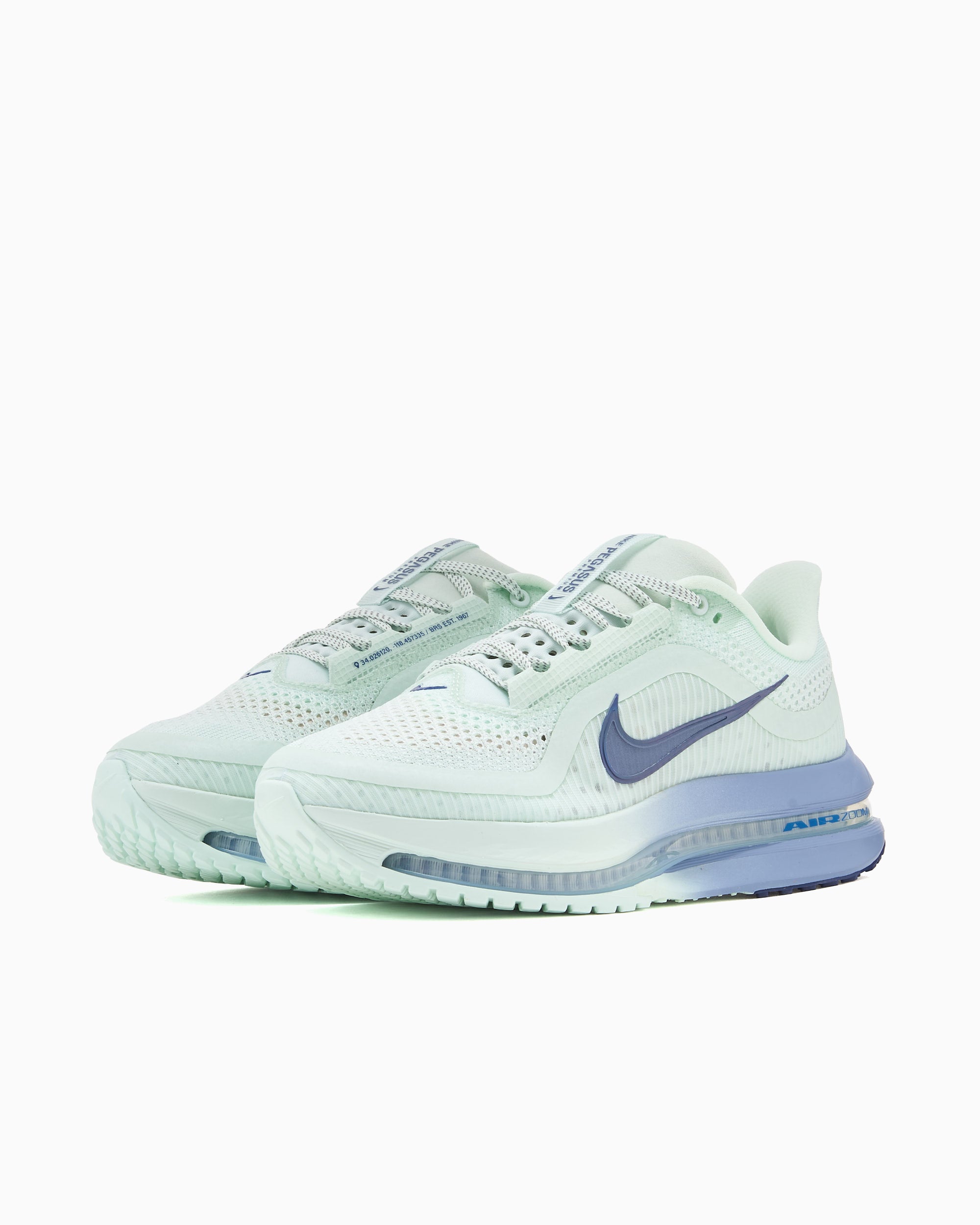 Sneakers Nike Women's Pegasus Premium - HQ2593-301