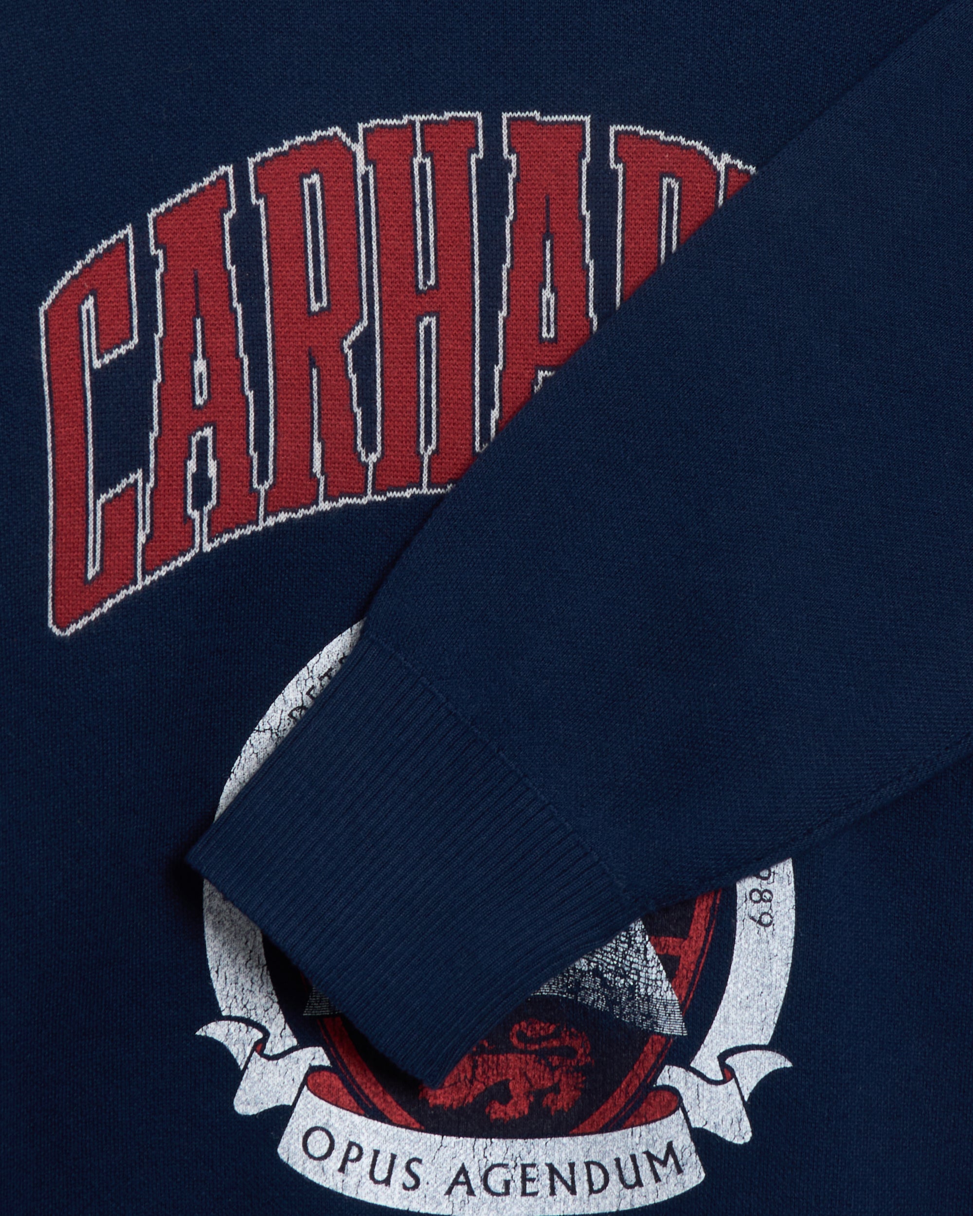 Sweaters Carhartt WIP Library College Men's Sweater Relaxed Men's Sweater - I034521-E7XX