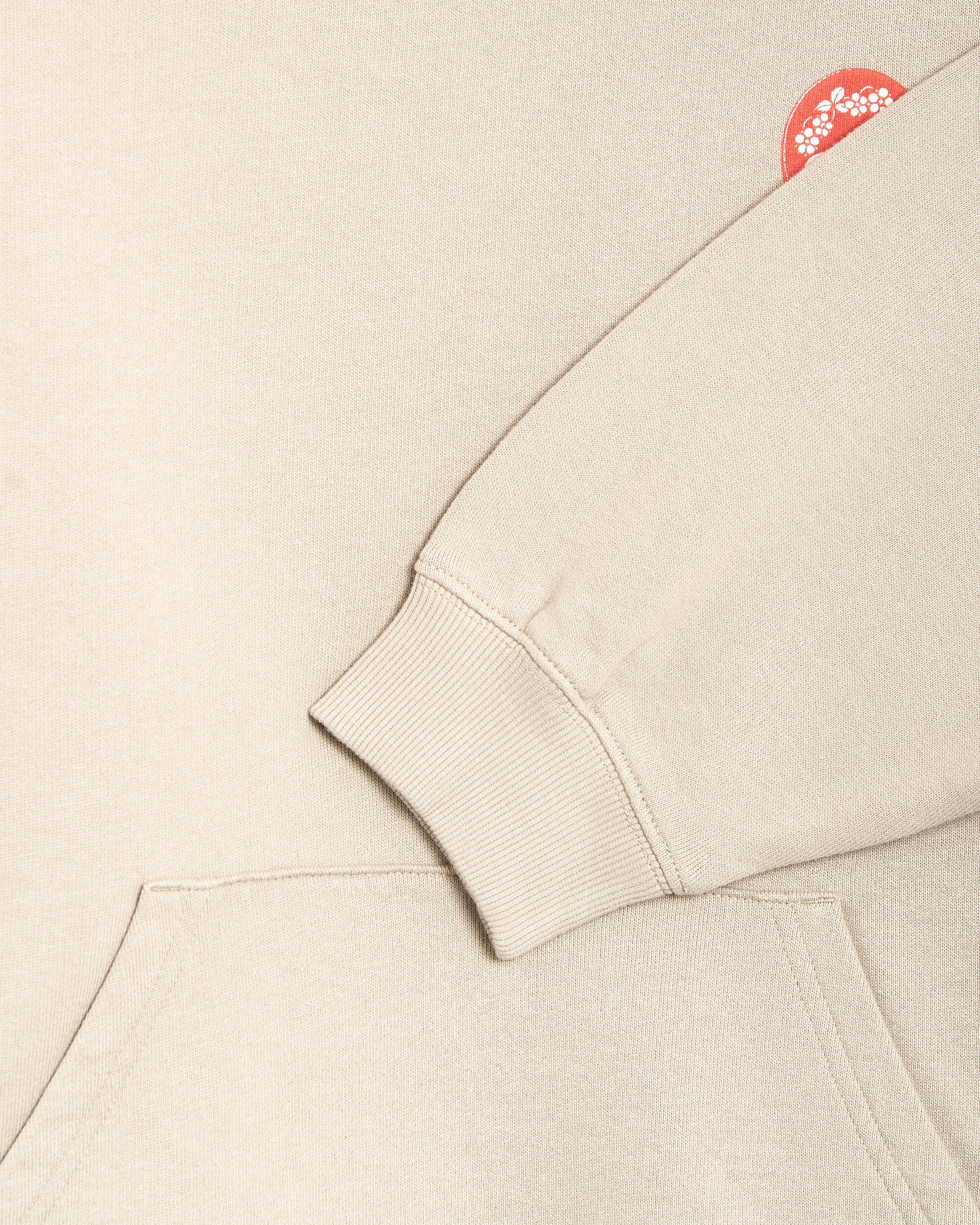 Sweatshirts Carhartt WIP Hartt Case Graphic Relaxed Women's Hoodie - I037243-2LPXX