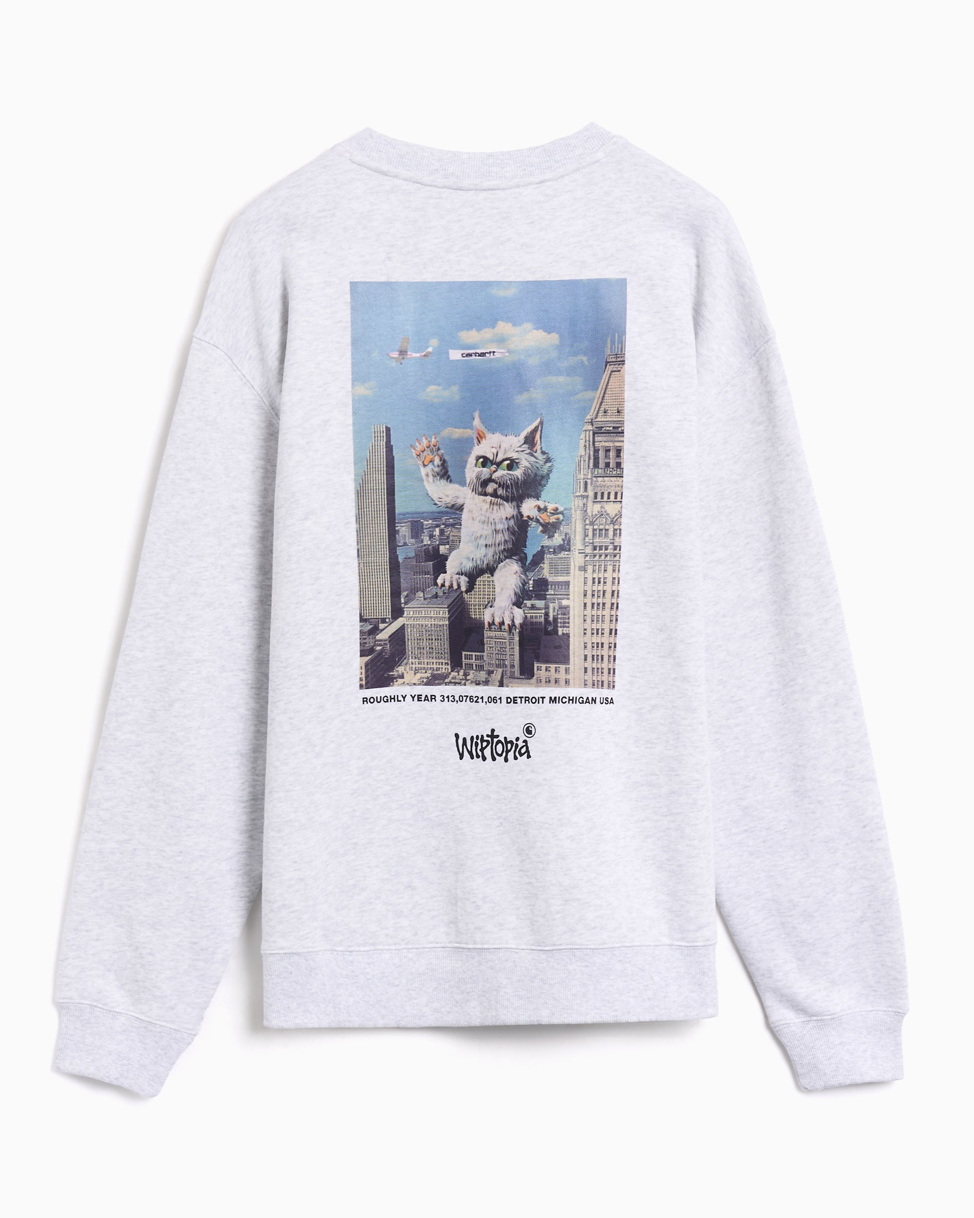 Sweatshirts Carhartt WIP Wiptopia Script Graphic Relaxed Women's Sweatshirt - I035515-3F2XX