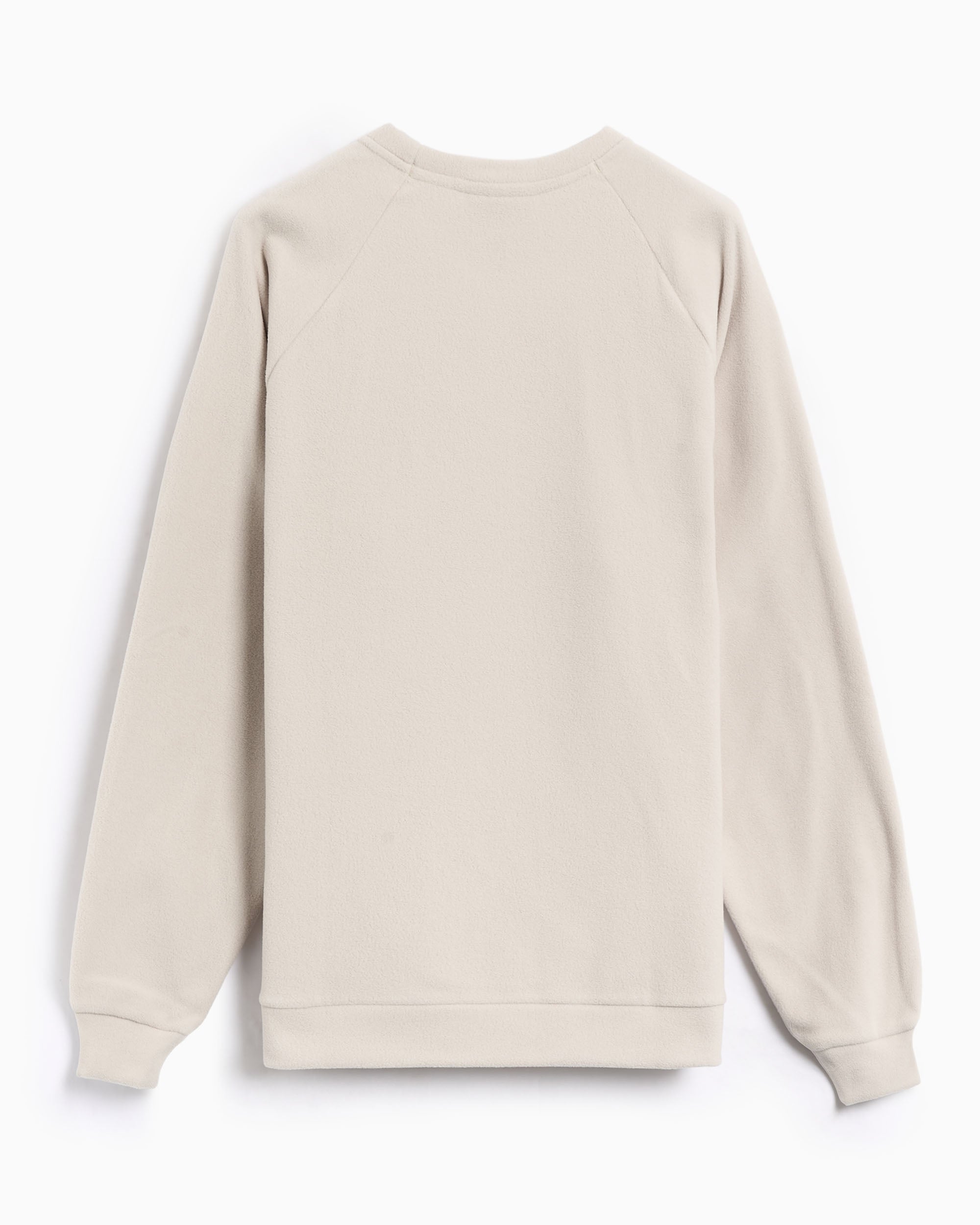 Sweatshirts Patagonia Micro Fleece Men's Sweatshirt - 23225-PLCN