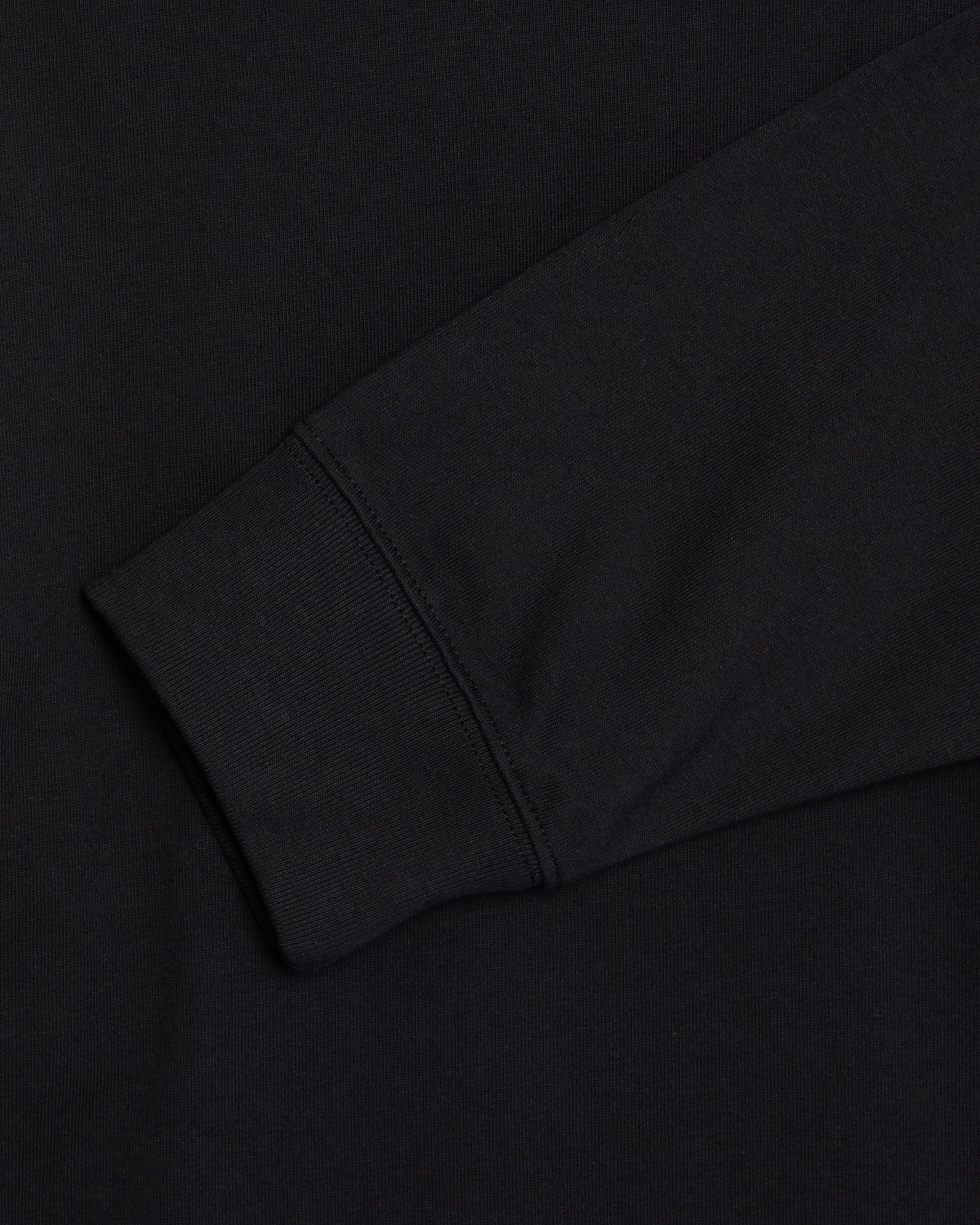T-Shirts Nike ACG Logo Long-Sleeved Relaxed Men's T-Shirt - FQ3738-010