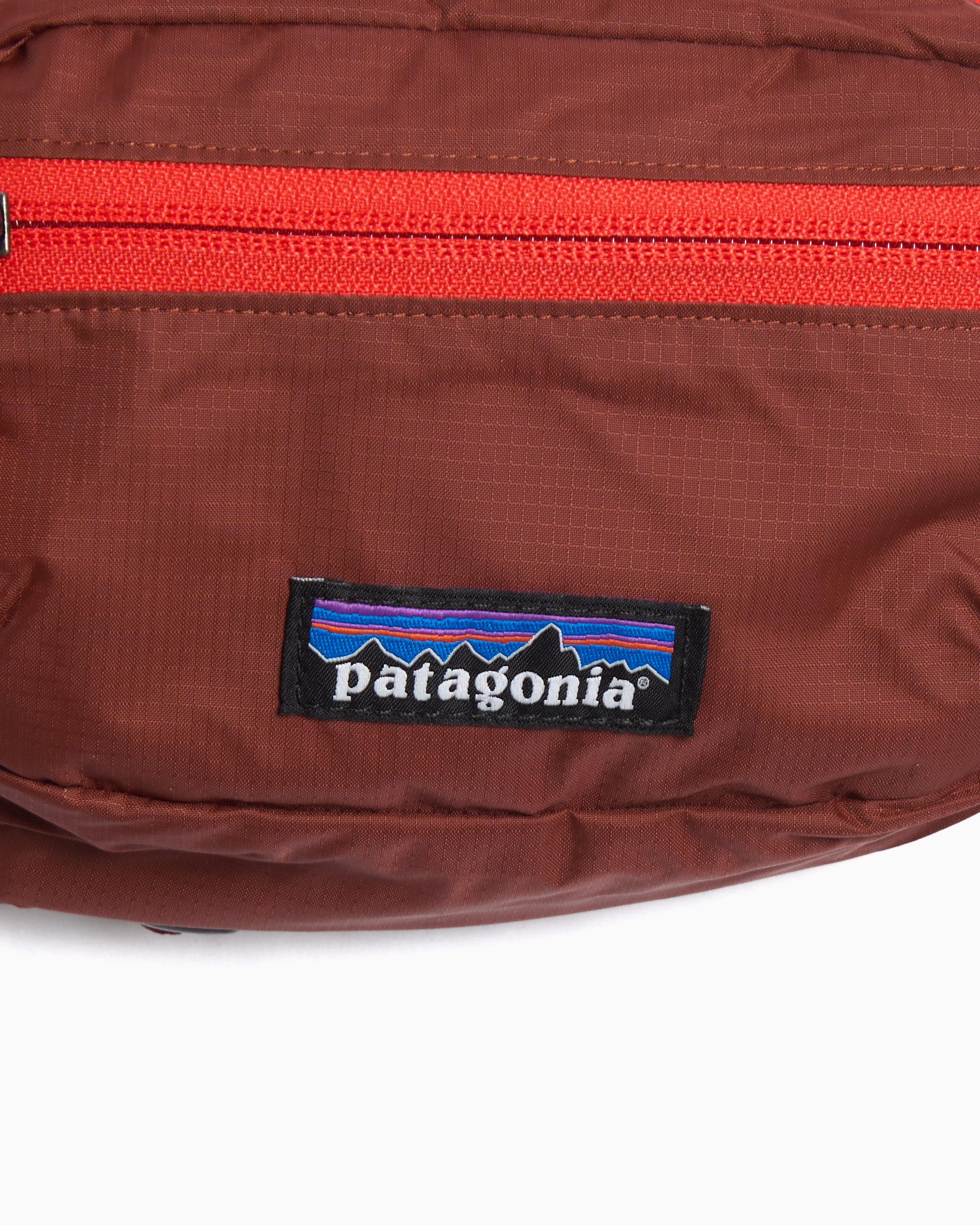 Waist bags Patagonia Terravia Mini 1L Unisex Waist Bag - 49448-DVL